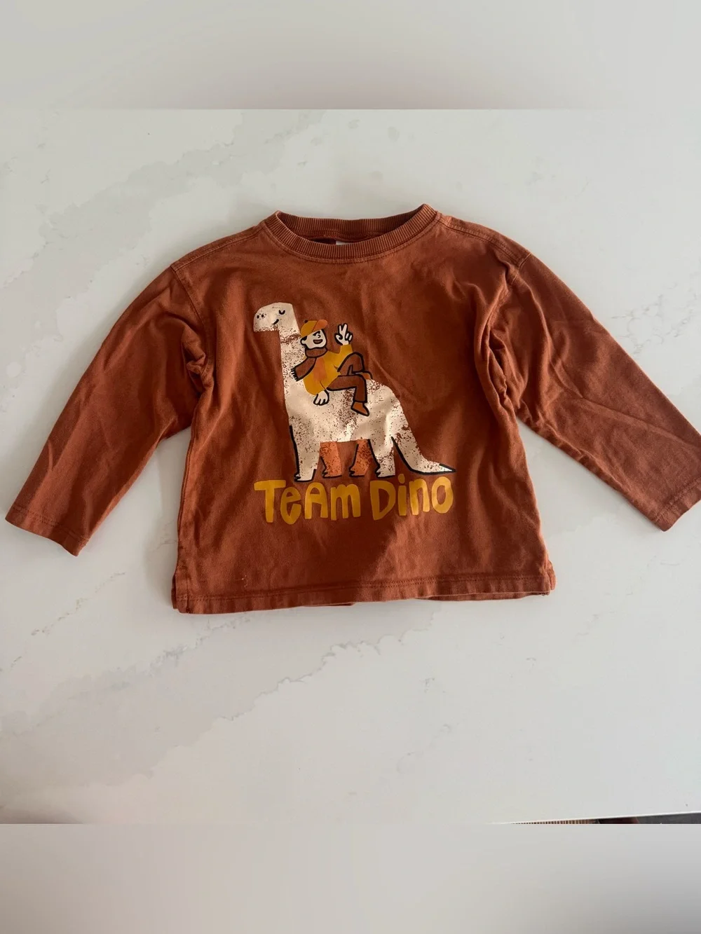 Zara Dino tee
